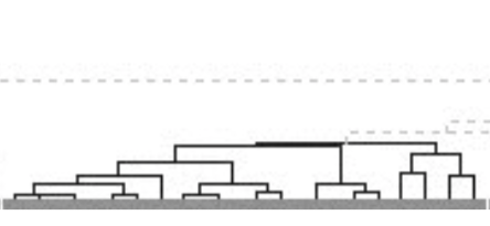 A dendrogram, showing clusters of software test failures